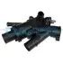 Термостат Fiat Scudo/Citroen Jumpy/Peugeot Expert/Ford Focus 2.0D/HDi/TDCi 09- (83°C) DT1163H