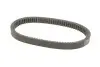 Ремінь приводу колеса Kawasaki KFX 700 V/Prairie 360-700 (29x813) DAYCO (HP2017) зображення 2