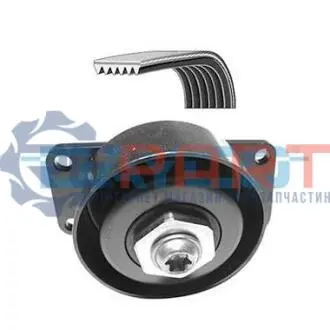 Комплект поликлинових ременів (з роликами) CITROEN BERLINGO, XSARA, XSARA PICASSO PEUGEOT 206, 206+, PARTNER, PARTNER ORIGIN 1.1-1.6LPG 06.96 DAYCO KPV171