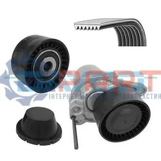 Комплект поліклинових ременів DAYCO KPV244 Купити в Україні