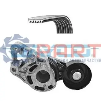 Комплект дорожных поясов DAYCO KPV278