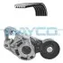 Автозапчасть DAYCO (KPV409) изображение 1