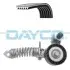 Автозапчасть DAYCO (KPV498) изображение 1