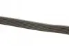 Комплект поликлинових ременів (з роликами) FORD GALAXY II, S-MAX 2.0D 05.06-06.15 DAYCO (KPV504) зображення 2