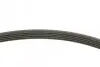 Комплект поликлинових ременів (з роликами) OPEL ASTRA K, CORSA E, INSIGNIA B, INSIGNIA B COUNTRY, INSIGNIA B GRAND SPORT 1.0-1.5 09.14 DAYCO (KPV521) зображення 2