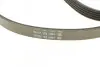 Комплект поликлинових ременів (з роликами) OPEL ASTRA K, CORSA E, INSIGNIA B, INSIGNIA B COUNTRY, INSIGNIA B GRAND SPORT 1.0-1.5 09.14 DAYCO (KPV521) зображення 3