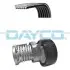 Автозапчасть DAYCO (KPV717) изображение 1