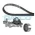 Комплект ГРМ + помпа Renault Kangoo/Megane I/Logan I 1.4/1.6 96- (17x96z) KTBWP2591