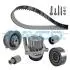 Комплект ГРМ + помпа Audi A3/Skoda Octavia/VW Caddy II/Golf/Polo 1.9TDi 95-10 (25x141z) KTBWP3600