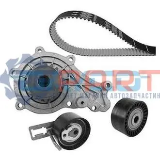 Комплект ГРМ + помпа Citroen Berlingo/Jumpy 1.6HDI 10- (z=141) DAYCO KTBWP9590 Купити в Україні