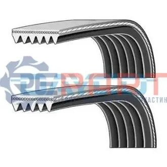 Комплект поликлинових ременів (з роликами) FORD FIESTA V, FUSION 1.25-1.6 11.01-12.12 DAYCO PVE003 Купити в Україні