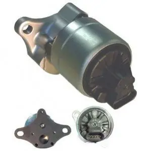 Клапан EGR Delphi EG1000612B1