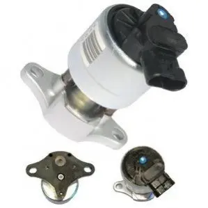 Клапан системи рециркуляції ВГ Delphi EG1001512B1