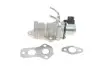 Фото Клапан EGR Delphi (EG1043912B1) изображение 1