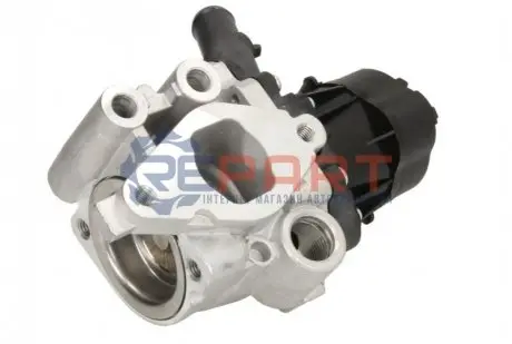 Клапан системи рециркуляції ВГ Delphi EG1048212B1
