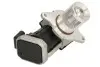 Клапан EGR Delphi (EG1048712B1) изображение 1