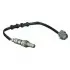 Лямбда-зонд HONDA HONDA Accord VII 3.L, Civic IV 1.4L, 1.5L, 1.6 Delphi (ES2032212B1) изображение 1