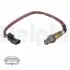 Фото Лямбда зонд Dacia Dokker/Duster/Renault Kangoo/Megane 1.2-2.0TCe 10- Delphi (ES2117212B1) зображення 1