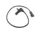 Фото Датчик положення колінчастого вала OPEL ASTRA F, ASTRA F CLASSIC, ASTRA G, ASTRA H, COMBO, CORSA A, CORSA B, VECTRA A, VECTRA B 1.2-1.8 09.91-10.10 Delphi (SS10804) зображення 1