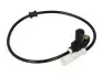 Датчик ABS передн Лів/Прав OPEL COMBO, CORSA B, TIGRA 1.0-1.7D 03.93-12.02 Delphi (SS20219) зображення 1