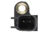 Датчик ABS задн Лів/Прав VOLVO C30, C70 II, S40 II, V50 FORD C-MAX, C-MAX II, FOCUS C-MAX, FOCUS II, FOCUS III, GALAXY II, GRAND C-MAX, KUGA I, KUGA II, KUGA III, MONDEO IV 1.0-Electric 06.02 Delphi (SS20586) зображення 2