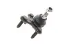 Фото Опора кульова (передня/знизу/R) Audi A3/Seat/Skoda Octavia/SuperB/VW Caddy/Golf/Touran/Tiguan 03- Delphi (TC1317) зображення 3