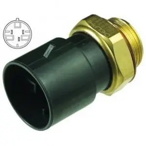 Термовимикач, вентилятор радіатора Delphi TS10342 Купити в Україні