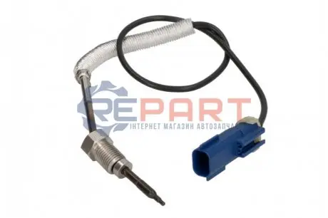 Автозапчасть Delphi TS30191 Купить в Украине