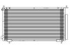 Радиатор кондиционера - Delphi TSP0225596 (80101SCAA01, 80110S9A003)