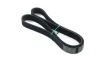 Ремень поликлиновый 7PK1125