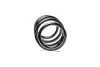Пружина передньої підвіски Peugeot Boxer /Fiat Ducato /Citroen Jumper 06- D700097