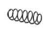 Пружина задн. Ford Fiesta V 1.3/1.4/1.4TDCi/1.6/1.6TDCI 01-10 D700236