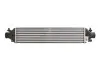 Інтеркулер ALFA ROMEO GIULIETTA, MITO FIAT BRAVO, BRAVO II, DOBLO, DOBLO CARGO, GRANDE PUNTO, PUNTO, PUNTO EVO 0.9-1.9D 10.05 Denso (DIT09122) зображення 1