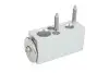 Расширительный клапан кондиционера CITROEN C2, C2 ENTERPRISE, C3 I, C3 PICASSO, C3 PLURIEL PEUGEOT 1007 1.1-1.6D 02.02- Denso (DVE07002) изображение 1
