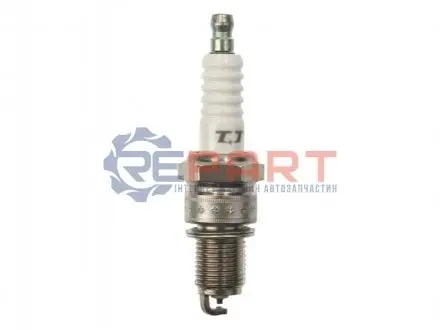 Свічка запалювання Audi/BMW/Fiat/Volvo/VW DENSO W20TT Купити в Україні