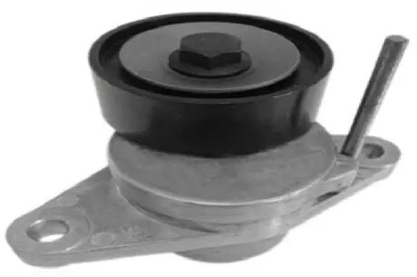 Фото Натяжник ременя генератора Dacia Dokker/Duster/Logan/Sandero 1.4/1.6 09- DEXWAL (031547TN) зображення 1