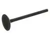 Випускний клапан (37x6,9x115,3) DODGE DAKOTA, DURANGO, NITRO, RAM 1500 JEEP CHEROKEE, COMMANDER, GRAND CHEROKEE II, GRAND CHEROKEE III, LIBERTY 3.7/4.7 06.01 DNJ (EV1105) изображение 2