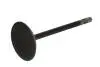 Впускний клапан (48,5x6,9x113,8) DODGE DAKOTA, DURANGO, NITRO, RAM 1500 JEEP CHEROKEE, COMMANDER, GRAND CHEROKEE II, GRAND CHEROKEE III, LIBERTY 3.7/4.7 04.99 DNJ (IV1100) зображення 2