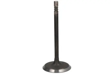 Впускний клапан (48,5x6,9x113,8) DODGE DAKOTA, DURANGO, NITRO, RAM 1500 JEEP CHEROKEE, COMMANDER, GRAND CHEROKEE II, GRAND CHEROKEE III, LIBERTY 3.7/4.7 04.99 DNJ IV1100