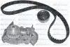 RENAULT К-т ГРМ (насос + ремень + ролик) 19 I 1.4 89-92, CLIO I 1.2 91-96 DOLZ (KD001) изображение 1