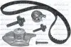 RENAULT К-т ГРМ (помпа + ремень + ролик + крепеж) CLIO II 1.5 dCi 03-05, KANGOO 1.5 dCi 02-, MEGANE II 1.5 dCi 04-06 DOLZ KD003 Купить в Украине