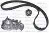 Фото Комплект ГРМ + помпа Renault Kangoo/Megane I/Logan I 1.4/1.6 96- (17x96z) DOLZ (KD066) зображення 1