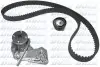 Комплект ГРМ + помпа Ford C-Max/Fiesta/Focus/Mondeo/Mazda 3 1.2-1.6 07-12 (22x117z) DOLZ KD070 Купити в Україні