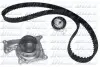 Фото Комплект ГРМ + помпа Renault Clio/Kangoo/Megane/Scenic/Dacia Dokker/Duster/Logan 1.5dCi 08-(27x119z) DOLZ (KD113) зображення 1