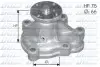 Насос охолоджуючої рідини, з ущільненням OPEL CORSA B 1.5D 03.93-09.00 DOLZ (O133) зображення 1