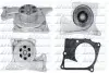 Помпа води Renault Kangoo/Clio/Duster/Laguna/Megane/Nissan Qashqai/Juke/MB 1.5dCi 09- (Ext.)(12лоп) DOLZ (R242) изображение 1