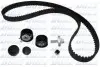 Комплект ГРМ Renault Kangoo/Dacia Logan/Sandero 1.4/1.6 16v 01- (K4M) DOLZ (SKD046) зображення 1