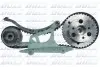 Касета ланцюга ГРМ Ford Connect 1.8TDCI (75-90-110PS) 07 DOLZ (SKD175IO) зображення 1
