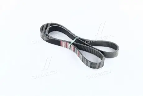 Ремінь поліклиновий Dongil 6PK1153 Купити в Україні