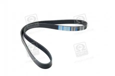 Ремінь поліклиновий Dongil 6PK1185 Купити в Україні